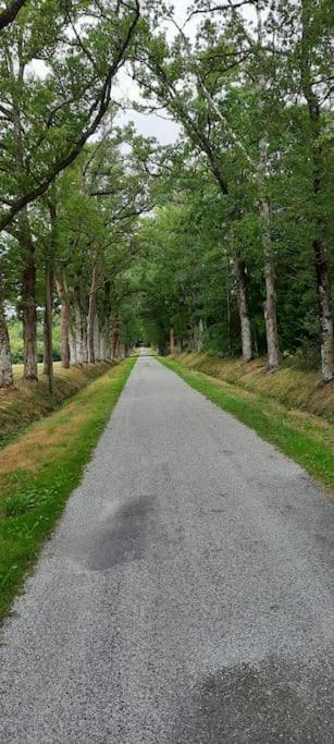 Veyrac Maison Des Sequoias - Parc 1 Hectare- מראה חיצוני תמונה